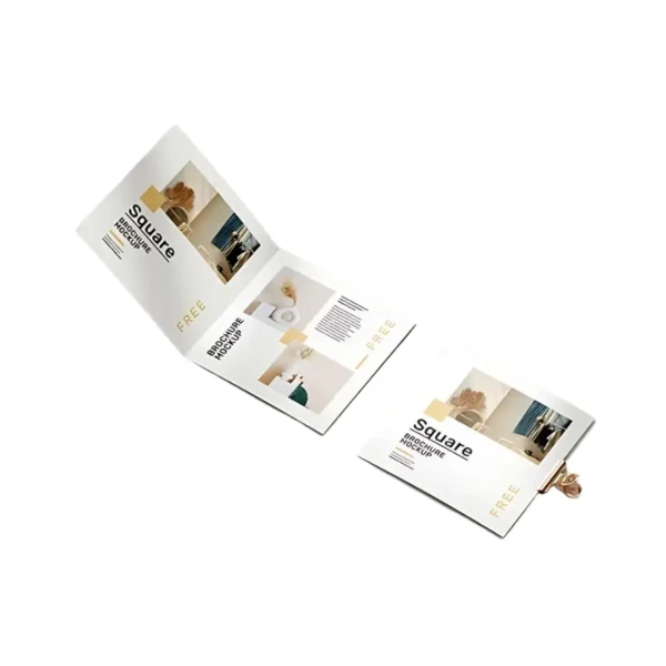 b429 مطويات 4 أوجه